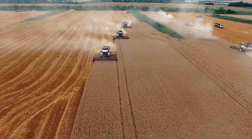 Кабмин РФ выделит более 500 млрд рублей на поддержку сельского хозяйства в 2025 году