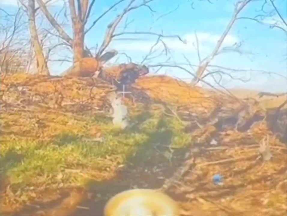 ������� �������: ������ ������ ������-��������� (�������� ʸ���, �������� ������) ������ ������������ ���������� ����������� ������ "����-������" �������� �������� ���, �� ������� ������ ������� ���������� �����...