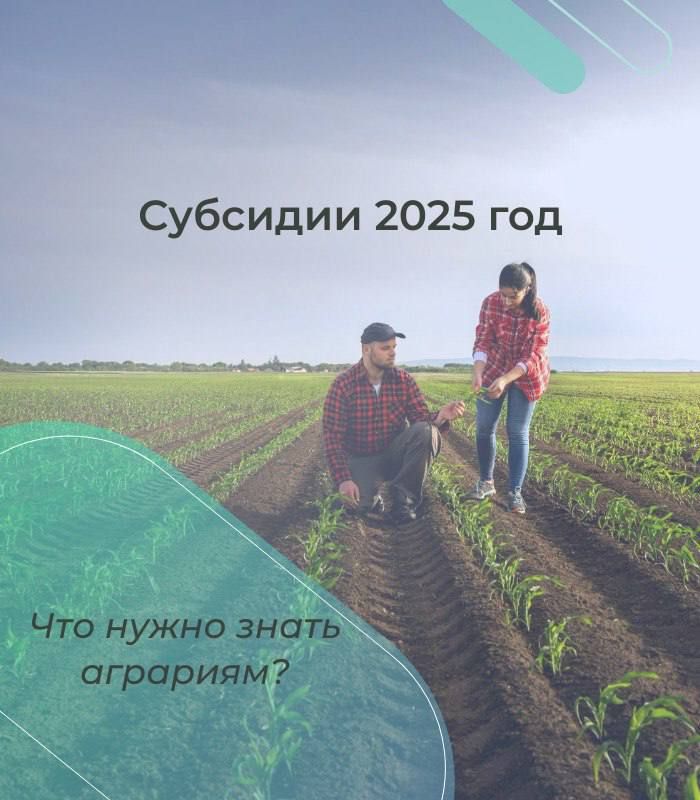 ��� �������� �������� � 2025 ����?