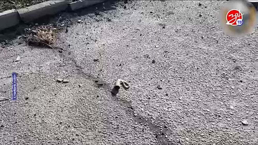 ������� ������ ��� �� ������ ��������