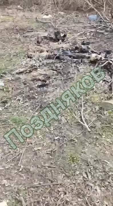 � ������� ������� ������� ������� ������ ���������� �����