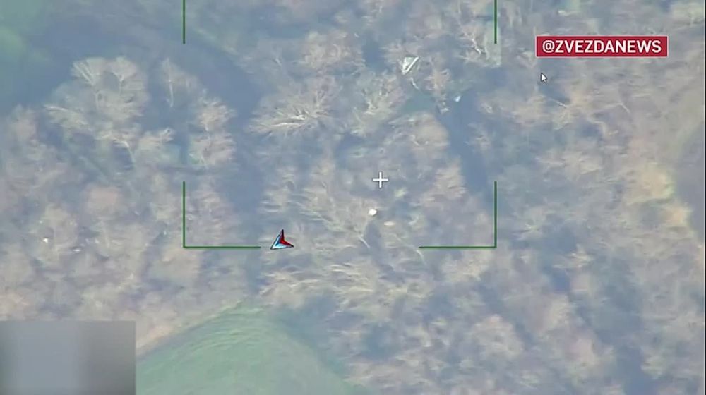 �������� �����: ���� "�������" �� �������� ������ � ������ ���������� � ����������� �������