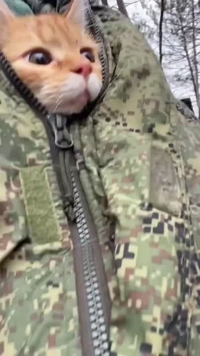����� ������ � ������� ������� ������! ������ ����, ����������� �������!