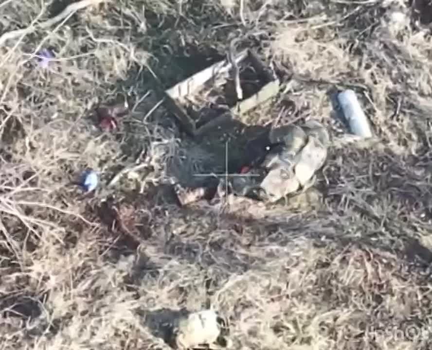 ������ ������� ����� � ��������� ������-������