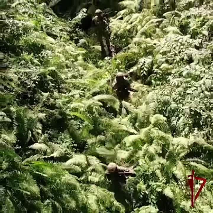 ����������� ���� �������� ������ � �����������, ���� � ���� ������� ������ ������� ���������������� ��������!