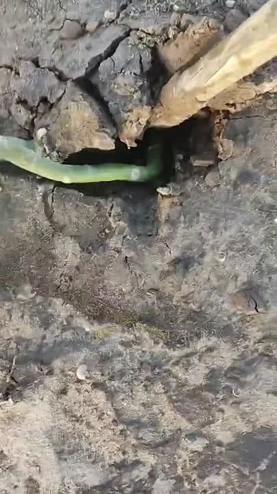 � ������ ��������� ���������� �������� ����� ���� �� ������ ������