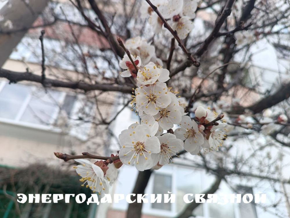 � ������ ������� �������� �������� �������� ������