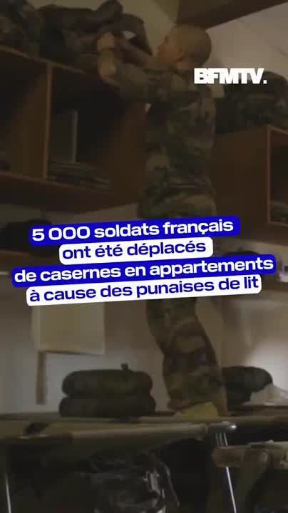 5 000 ����������� ������ ���������� �� ������ �� �������� ��-�� �������� ������ � ��������