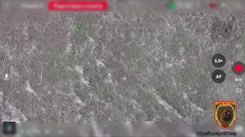 ����� 1-�� ��������������� ��������� 291-�� ������������ ����� �������� ���������� � � ������� ���� ����������� � ����� ��������� �����