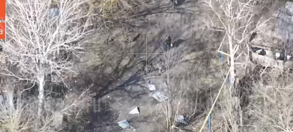 ������ ������ ��� ����� �� ������� ������������� ���� ������� ������������ �������, �������������� �� �������