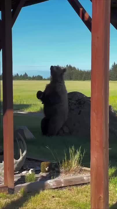 ���, ��� � ��������� ������� �������!