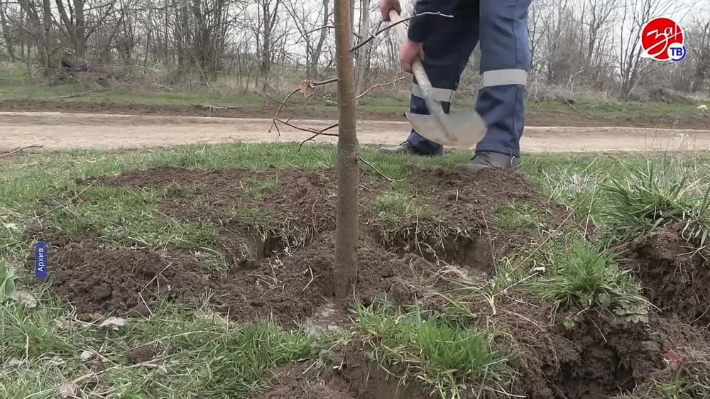 � ���������� ���������� ��������� ������� ������ �������������� ������� �������������