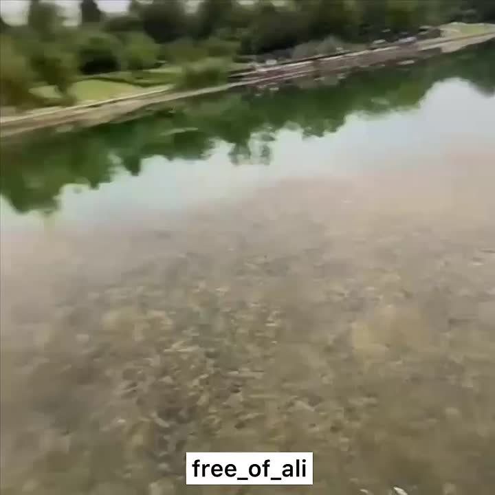 ������� ������ ���������� ����!