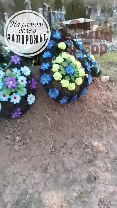 �� �������� ��� ���������� ���-�� �������� ����� ����������� �������� ������� ���