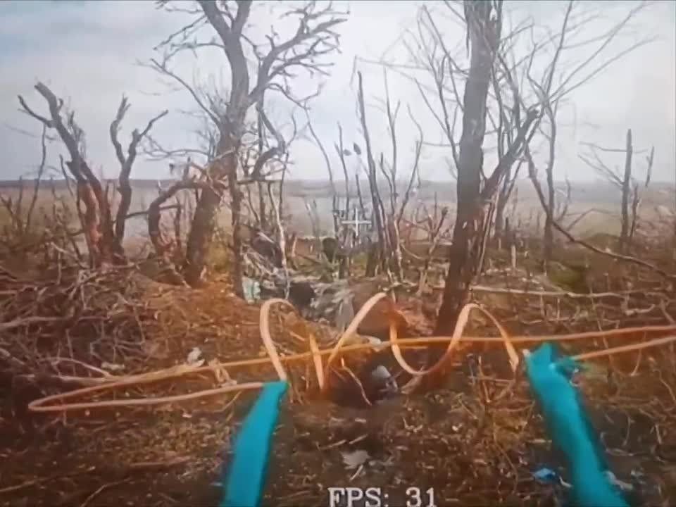����������� �����. �� ����� � ������ ��������� � ����������� ����� ���� ���������� � �������