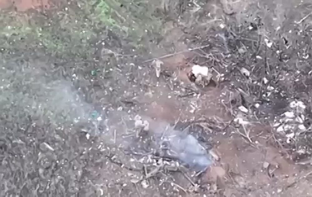 ��� ��������������� ��������� ������� ������ ���� ���, �������� ������� ���������