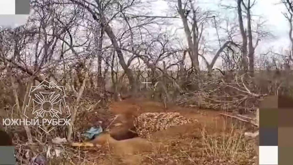 ����� ����������� ����������� FPV-������ 200 ����� ����������� "��" ������ ���������� ���� ��� � ������ ����������� ������ ����������