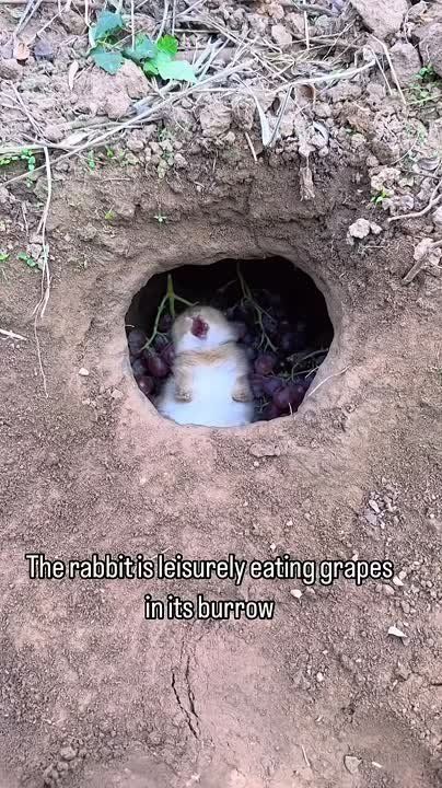 ����������� � ������������� �������� ��� ���������� ����! ������ ����, ����������� �������!