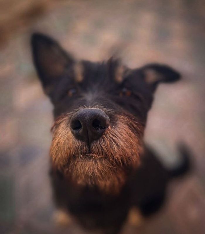 ��������� ����������� ����������� ��������� �������� � ����� �� �������� ����� ������ ��������� �� ������