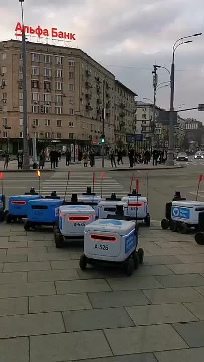 �/�� �������! �� ����� ������ !
