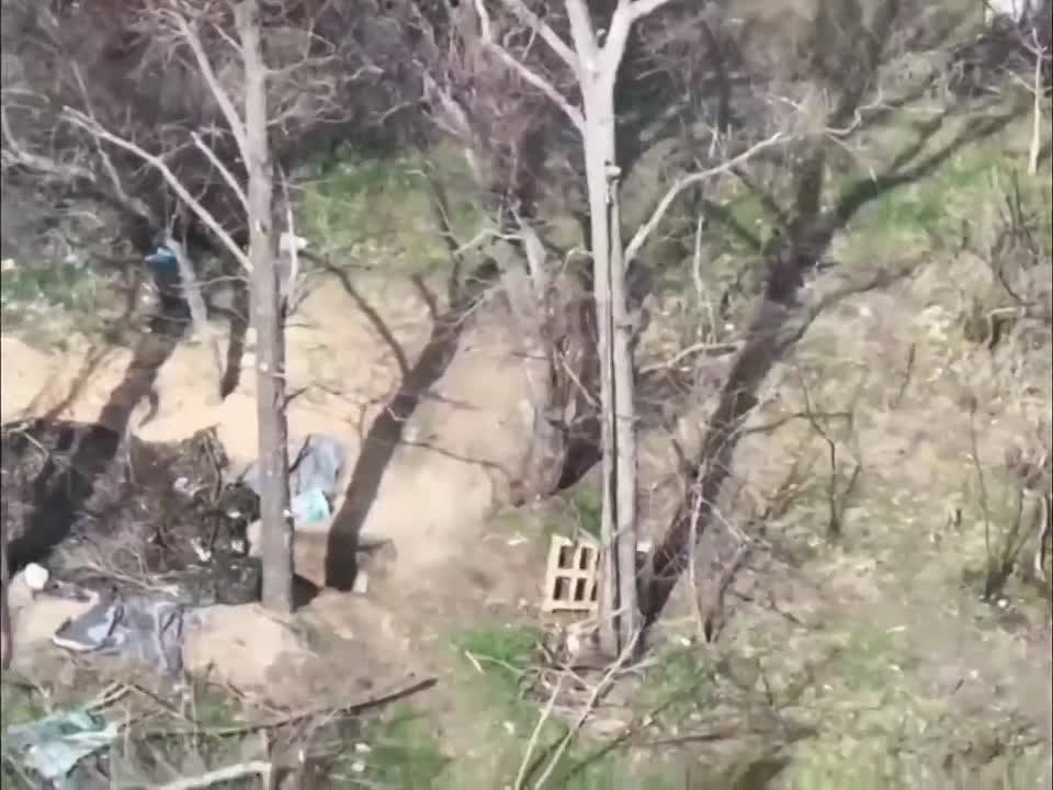 ������� �������: ������ "�������" (�������� "�����") ����������� ������ ���������������� ����� ��� � ������ ������� ���� ����������