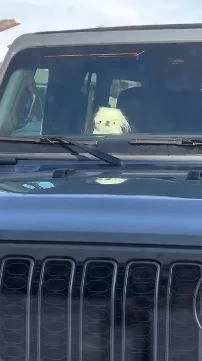 ���? ��� ��� ��� �����������? ������ � ������� �����