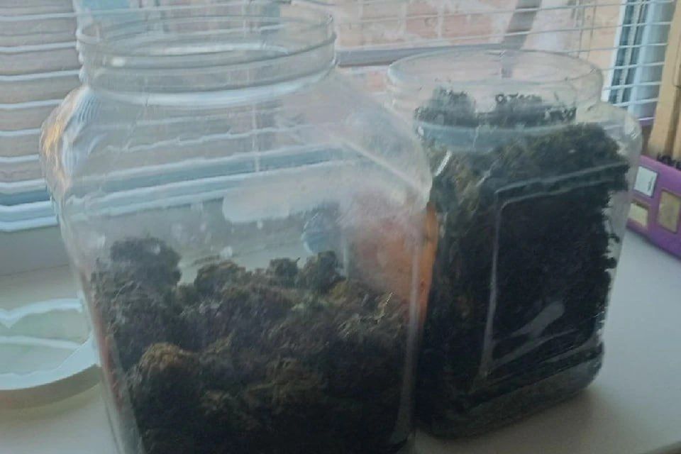 � ����������� ������� ������� ������� �� �������� ����������