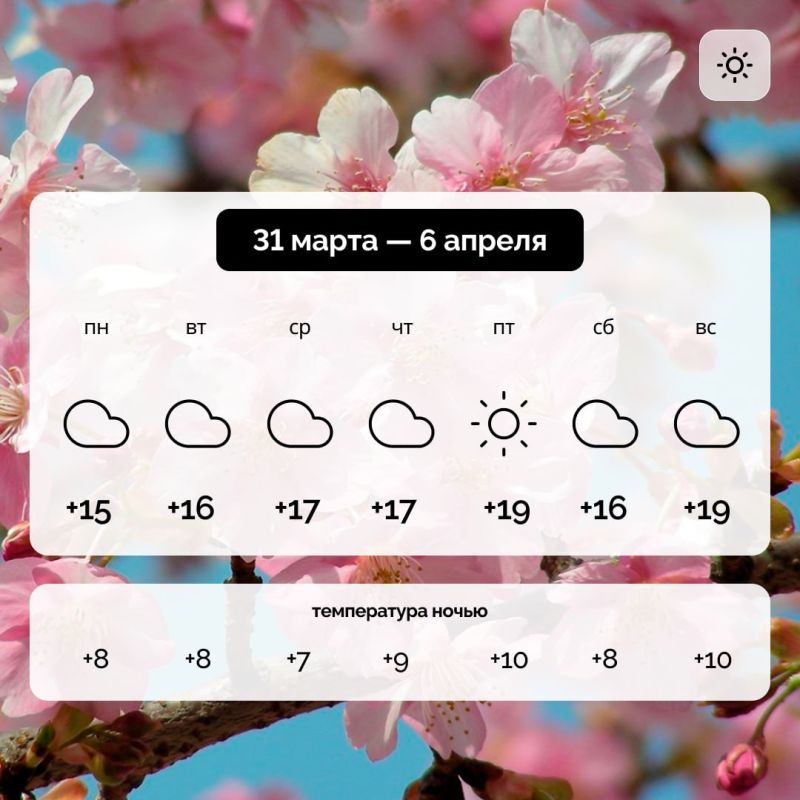 ������ � ����������� ������� �� 31 ����� � 6 ������