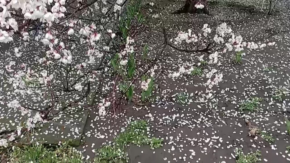 ��������� �� �������� � ��������� ���������