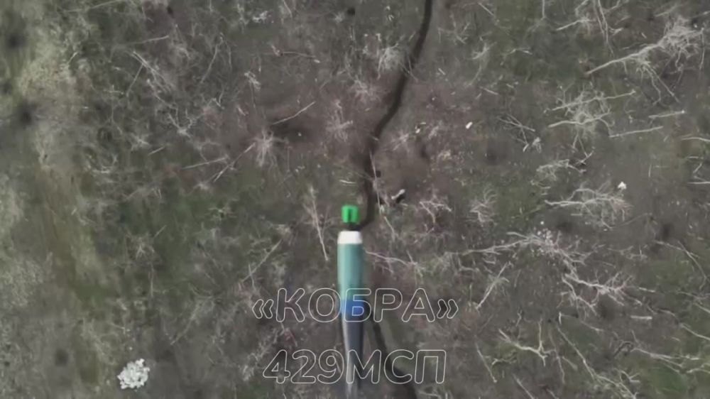 ����� ����������� ������ ������ ��� �� �������� �������� ������ ����� �.�. ���������. ��������� �����, ���� �������