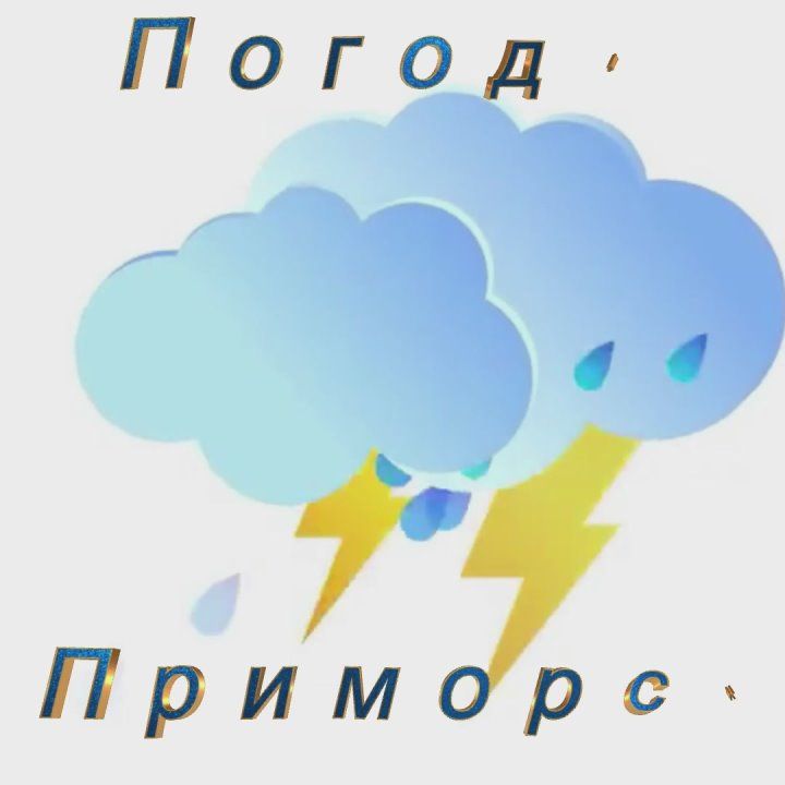 ������ �������� (���������� �����), 31.03.2025