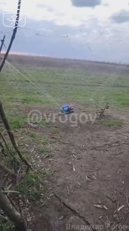 �������� �����: ��������� � �����. FPV-���� ��� ������� � �������� ����� �� ���������� ����������� ������������ ������