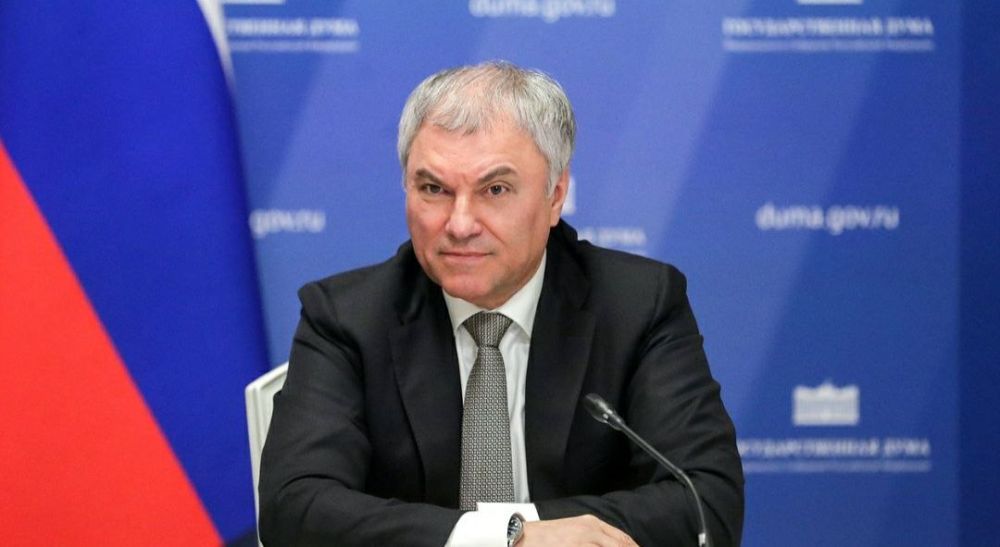 Анна Хорошун: Вячеслав Володин обсудил законопроект, защищающий людей от навязывания платных допуслуг