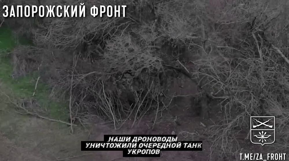 ���� �� ����� ������� ���� �� ��������� �����