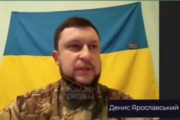 Плачевный сценарий от Дениса Ярославского