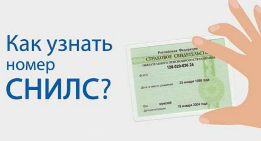 Анна Хорошун: Где узнать номер СНИЛС в случае утери его бумажной версии?