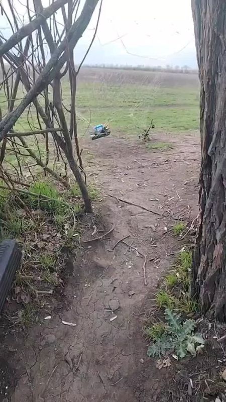 ���������� FPV-���� ��������� � ����� ��� ����������� ��������� � ������� �����