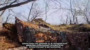      от Енота Херсона      за прошедшие сутки