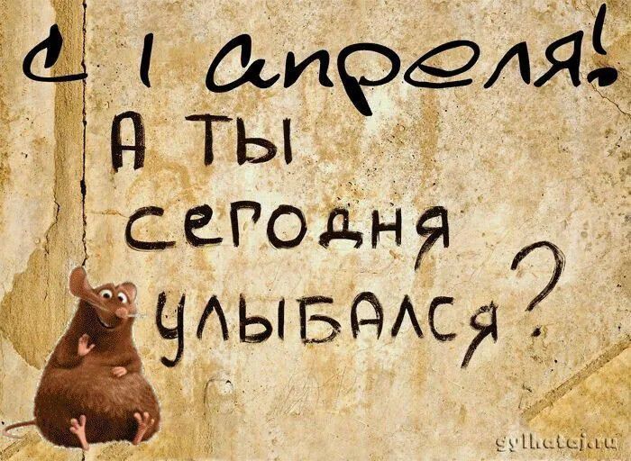 ������ ����, ������!. ������ ������ - ������ �� ����, ������� ��? ����� ��������������� ����� ����� �����������, � ���� ������� � ������! ����� ��� ���� � ������! � ����� ������� �� ����������)) ����� ��������