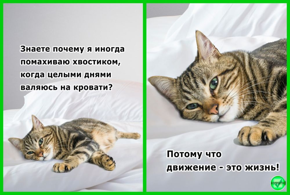 ���������������� ��������� � ������