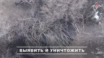 Расчеты беспилотных летательных аппаратов группировки войск «Южная» уничтожили САУ «Гвоздика», блиндаж с личным составом и пикап ВСУ в зоне спецоперации