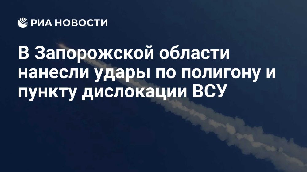 Сергей Лебедев: По ЛБС в Запорожской области прилетало 226 раз