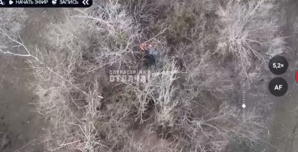 ����������� �������� ������ ���������� ������� FPV ������ "V" �� ������� � ��������� � ����� ���������� ���������� �������� ��������� �� ����� �� �������� ������������ ������