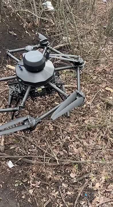 ��� ���� ��������� ���������� ����-�������������� ���� "���� ���"