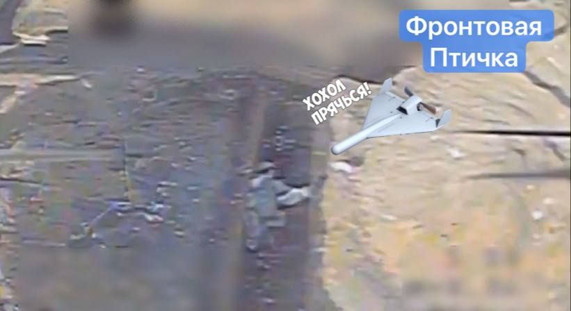 ����������� ����������� �����������