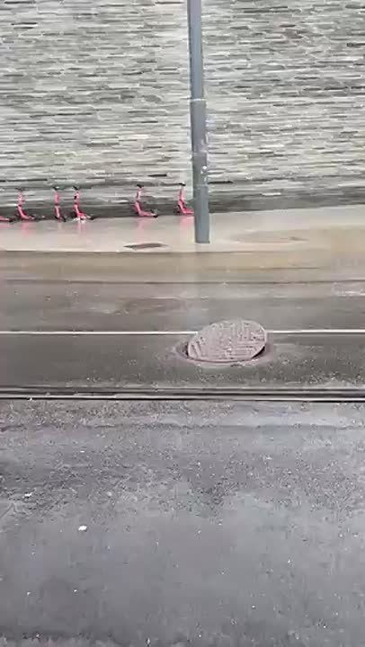 �� ������ ���� �������� ��������� ����