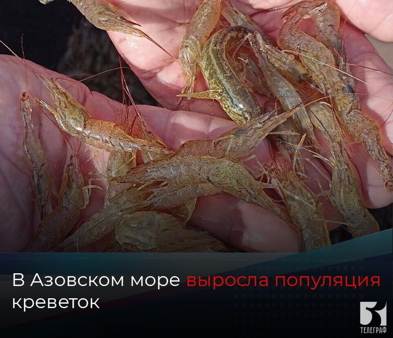� �������� ���� ������� ��������� ��������