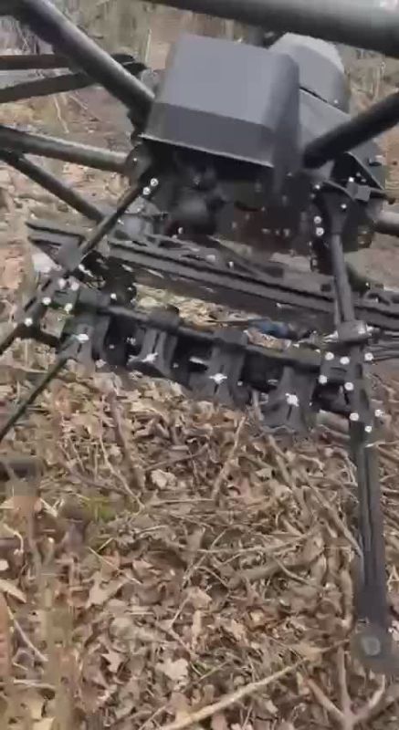 ���� ����� ���������� ���������� ���� ��� � ����������� �������