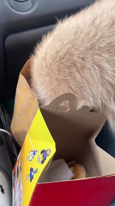 ������ ����, ������! �������� ��� ��� � ��������� ����������!