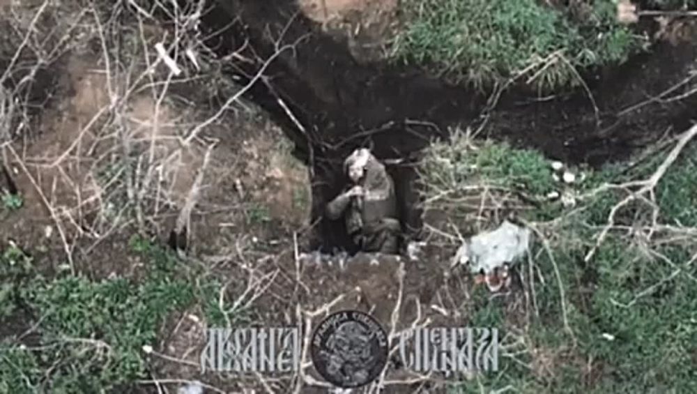 ���������� ������ ���������� ���������� ����� �������� ����������� �������, �������� Telegram-����� "�������� ��������"